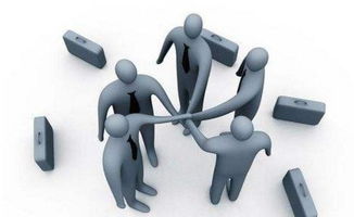 組織管理咨詢的三大基本原則 構建高效能組織的基石